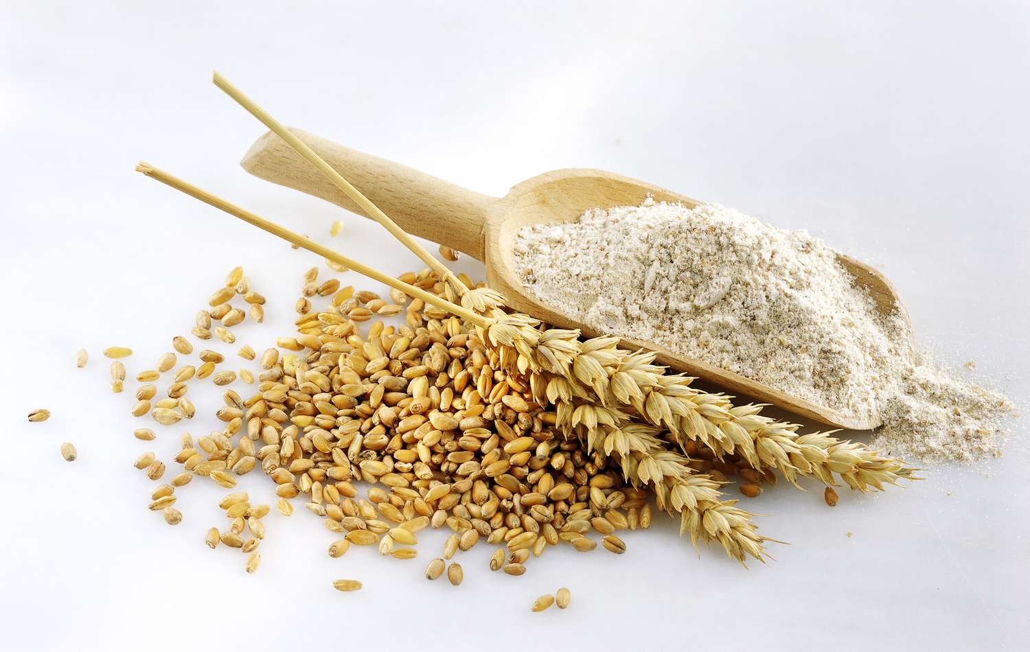 Wheat Grains
